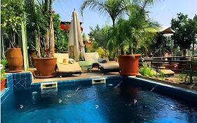 Riad Moullaoud